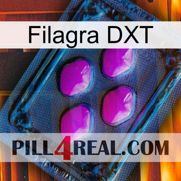 Filagra DXT 04.jpg